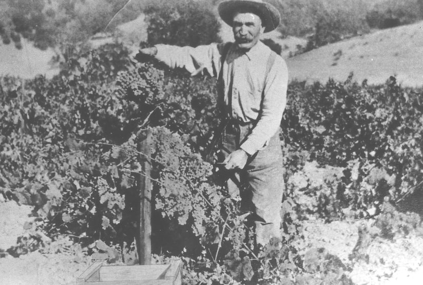 Napa Valley 1890s