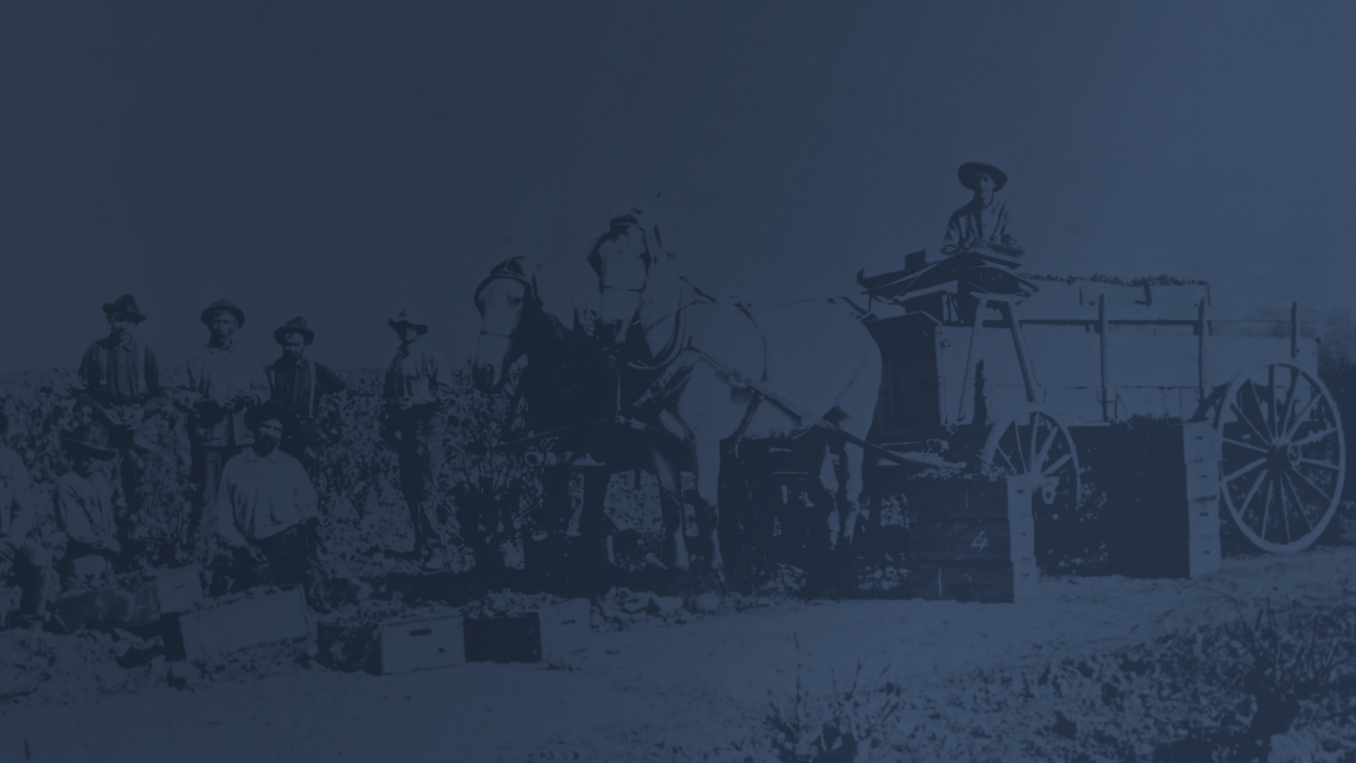 Historical Napa Valley in 1850