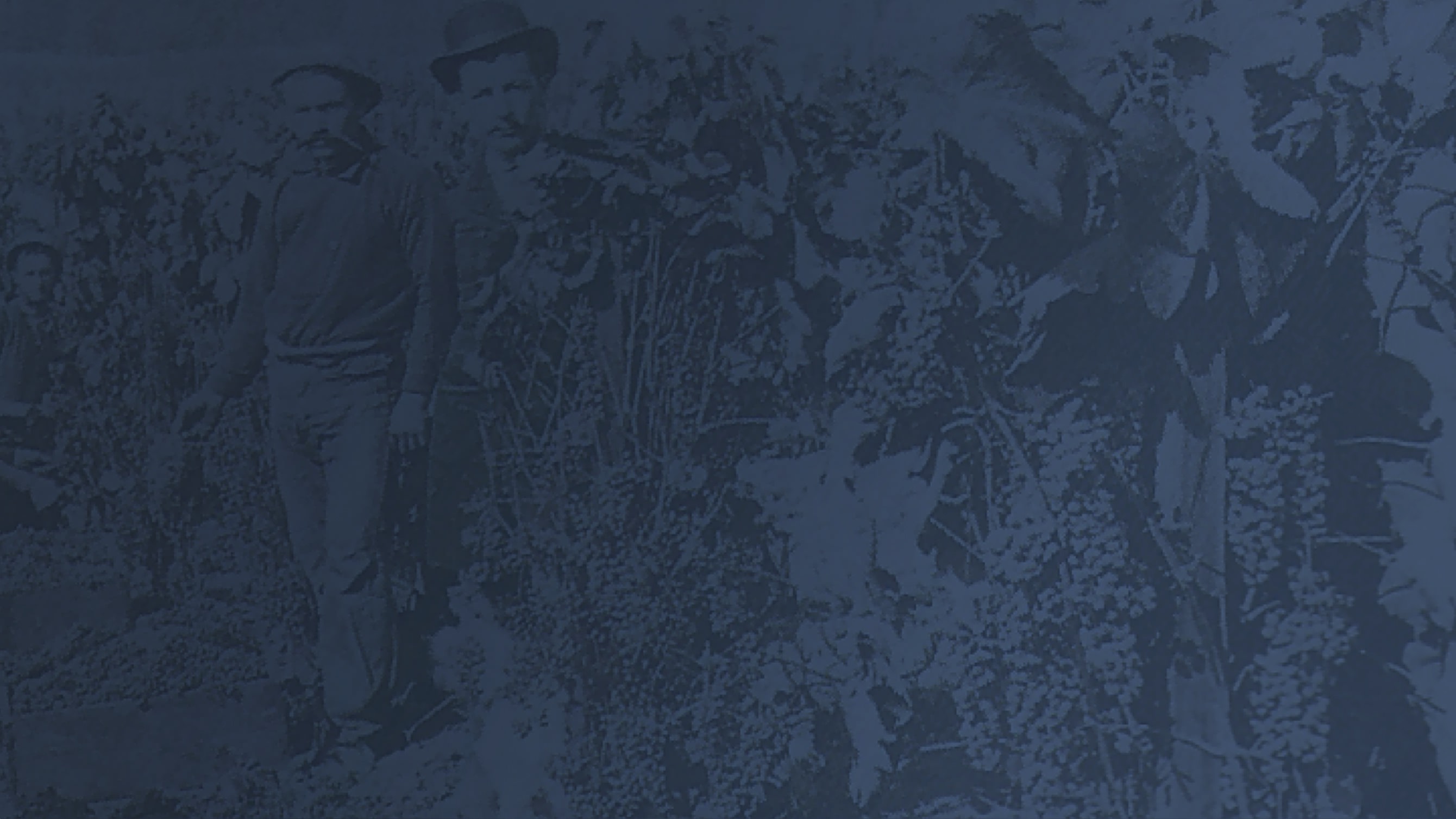 Historical Napa Valley in 1870