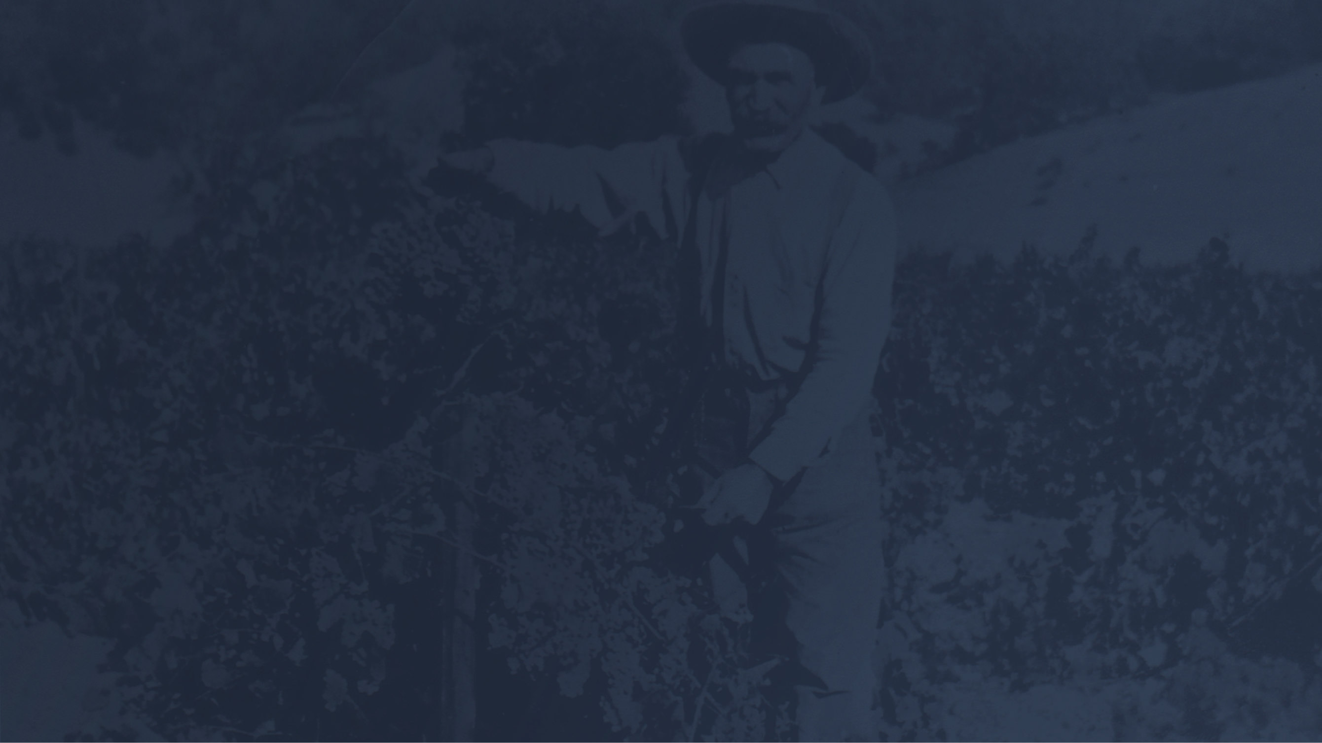 Historical Napa Valley in 1890