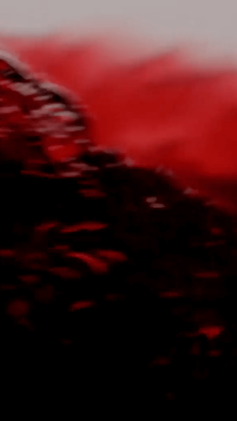 Napa Valley Wine swirling in the glass