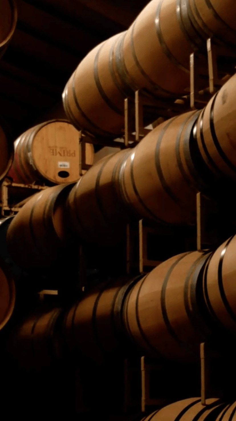 Napa Valley wine stored in barrels
