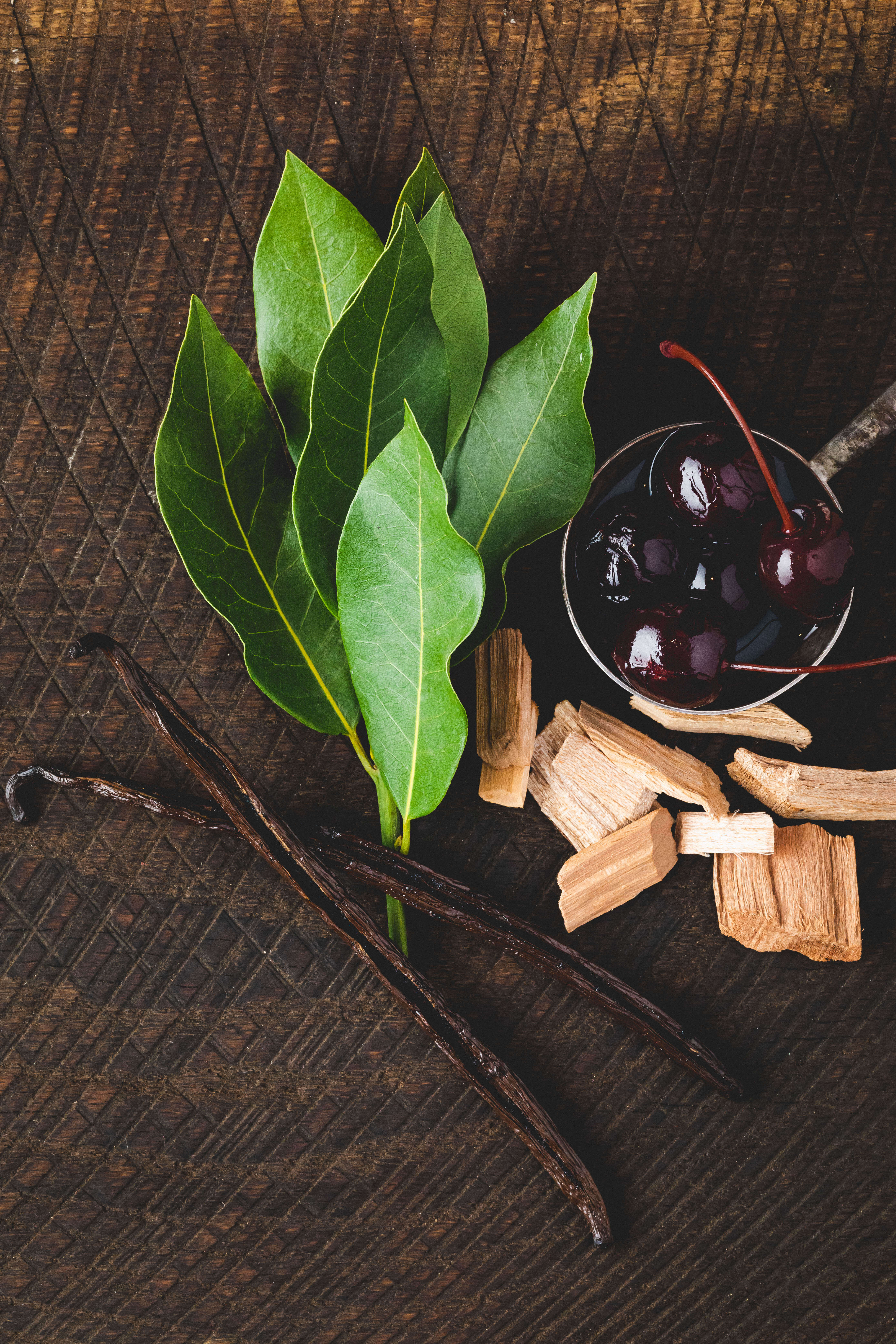 Wine tasting notes of Napa Valley Merlot