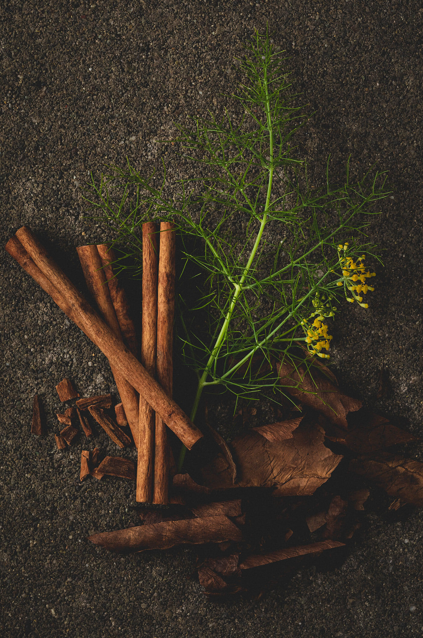 Wine tasting notes of Napa Valley Zinfandel